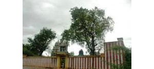 கண்ணாபட்டி